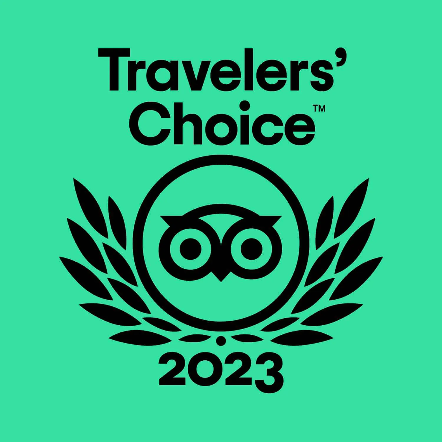 Tripadvisor Travelers' Choice Previous Year